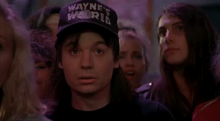 Wayne from Wayne's World